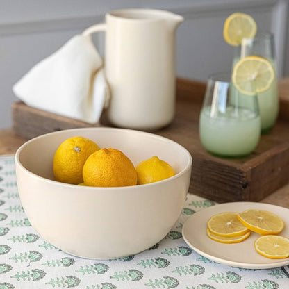 Citrus Juicer